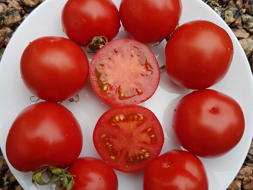 Barnaulskij Konservnyj 